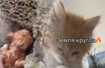 Кошеня, якого врятували після підриву Каховської ГЕС, помстилося росіянам