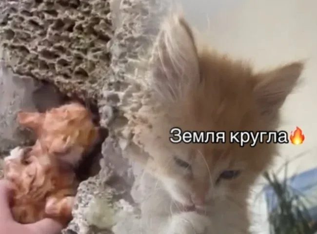 Кошеня, якого врятували після підриву Каховської ГЕС, помстилося росіянам
