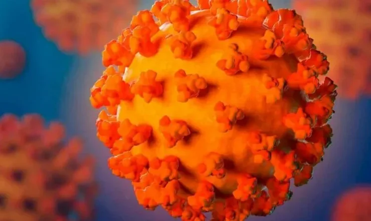 Що відомо про новий штам COVID-19 «Пірола»