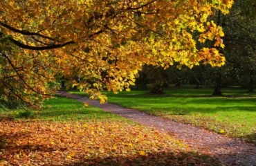 Коли в Україну повернеться потепління