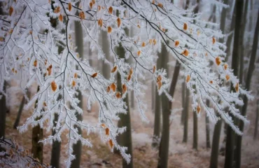 Морозна погода / фото ілюстроване