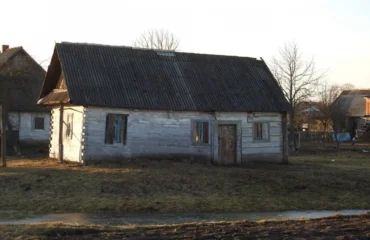 Буцни / фото ілюстроване