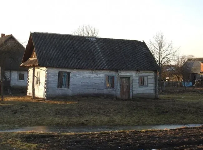 Буцни / фото ілюстроване