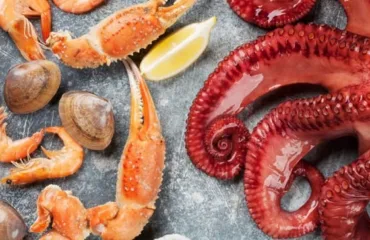 Морепродукти. Фото kingcrab.com.ua