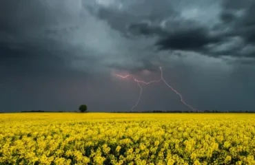 Гроза