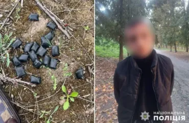 Вилучені речовини