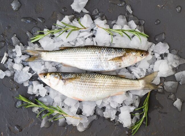 Свежемороженая рыба