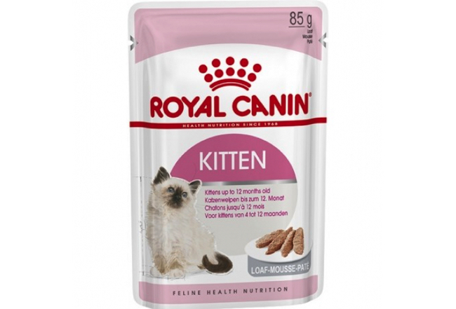 Рекомендации по выбору идеального сухого корма