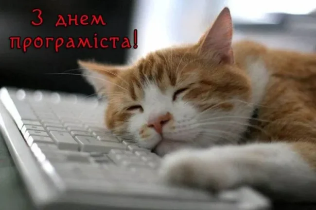 Привітання 