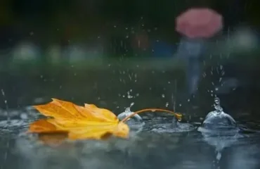 Жовтень