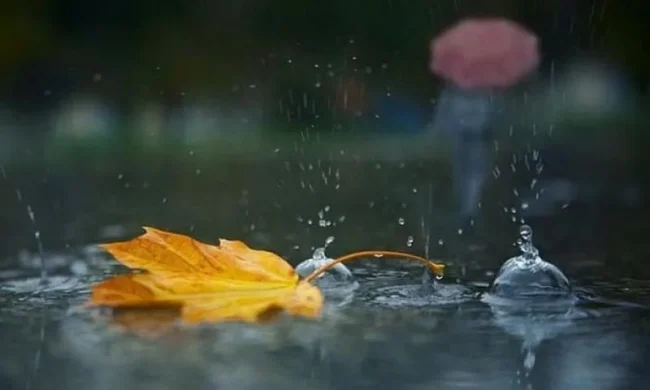 Жовтень