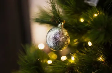 Рік Дерев'яної Змії 2025