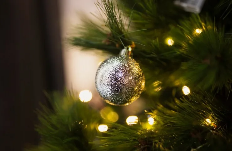 Рік Дерев'яної Змії 2025