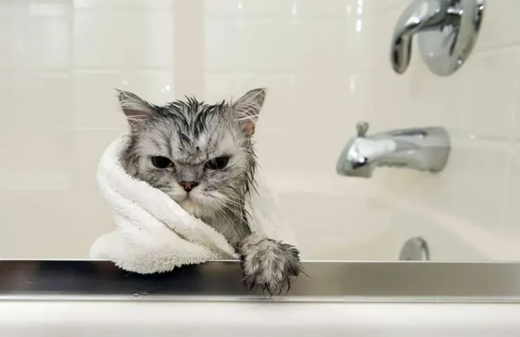 Відключення води