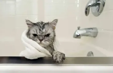 Відключення води