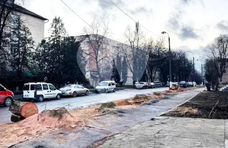 Зрізані дерева
