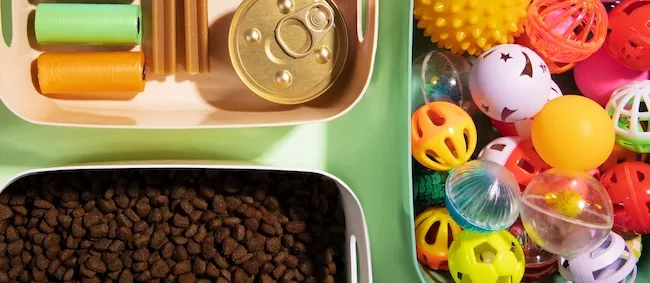 Трендовые зоотовары: что сегодня выбирают владельцы питомцев?