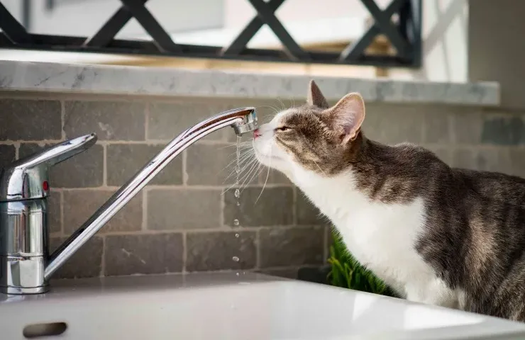 Відключення води