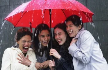 Як доглядати за парасолькою: поради для довговічності