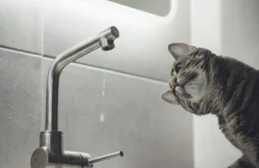 Відключення води