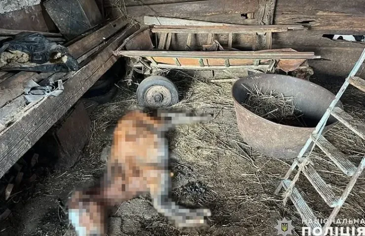 Знахідка поліції