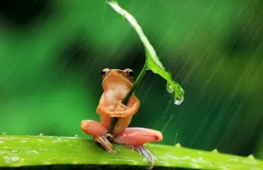 Похолодання