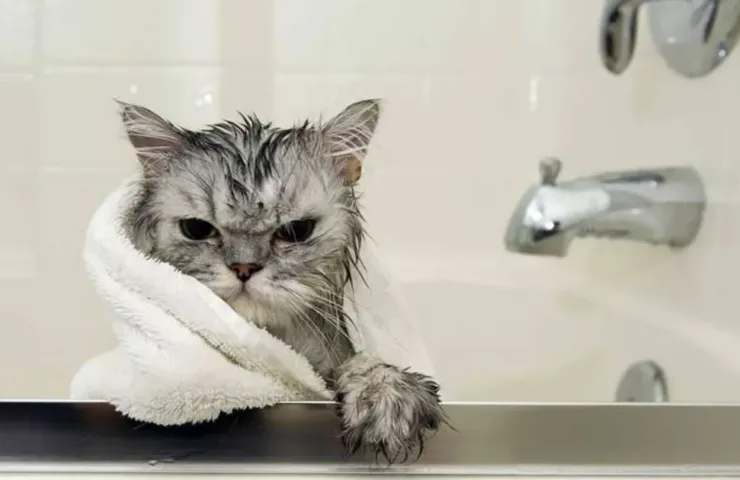 Відключення гарячої води