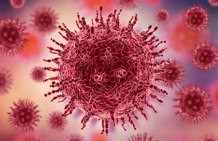 Епідемія кору