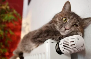 Опалювальний сезон