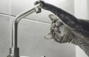 Відключення води