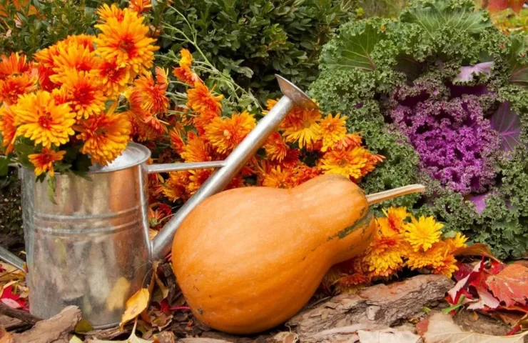 Посівний календар на листопад