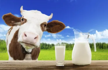 Молочна продукція