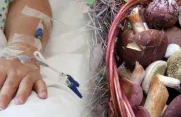 Отруєння грибами