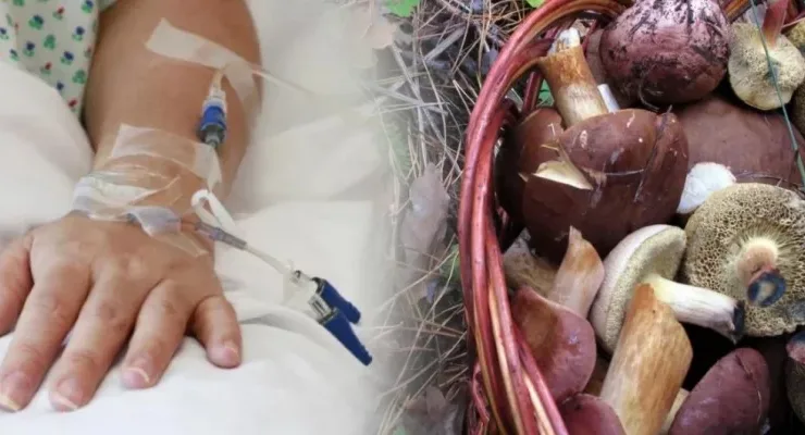 Отруєння грибами