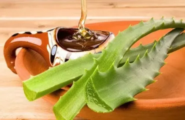 Як правильно пити алое