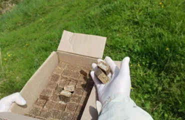 Планують розкласти понад 415 тисяч доз вакцини