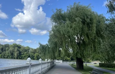 Впродовж 23 травня буде дещо вітряно