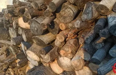 Хотів купити дрова, але натрапив на шахраїв