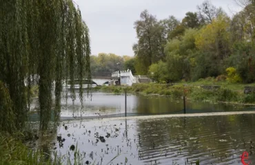 Масову загибель риби почали фіксувати після атаки 19 вересня