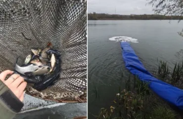 Загалом у водосховище запустили понад 3 тисячі 800 рибин